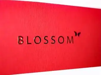 Blossom от Will Tsai SansMinds, волшебный трюк
